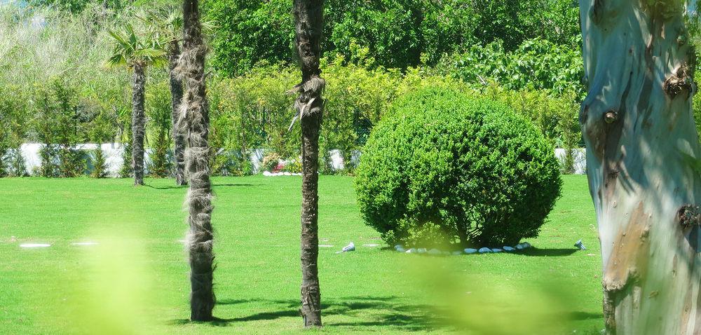 Hotel Eden Park Cilento Ispani Eksteriør billede