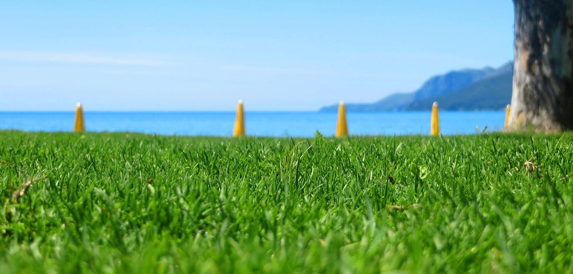 Hotel Eden Park Cilento Ispani Eksteriør billede